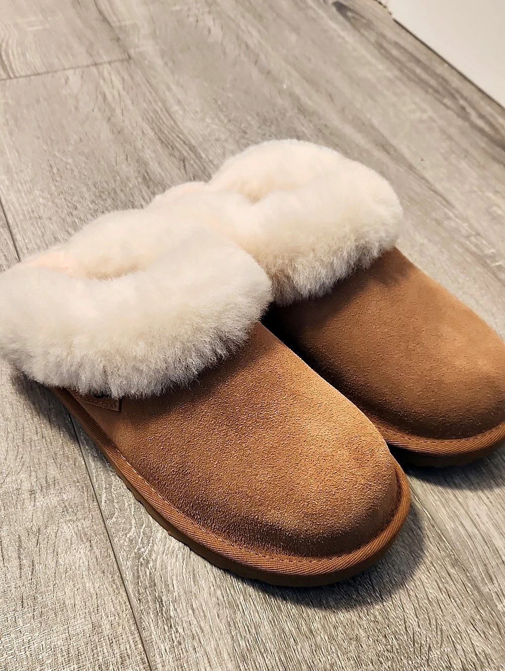 UGG Clugette Slippers Brown US 6  New Without Box